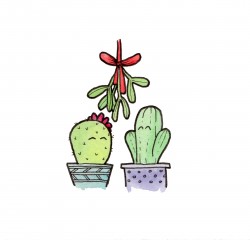 Tiny Cacti - Mistletoe