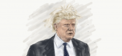 Donald Trump #fakehair
