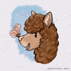 Digitale illustratie, Alpaca
